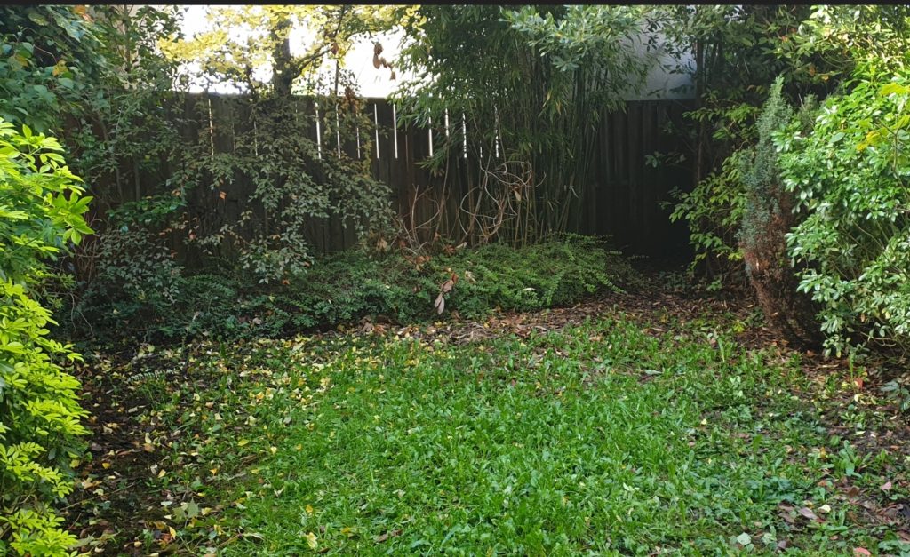 Jardin à l’arrière de la maison