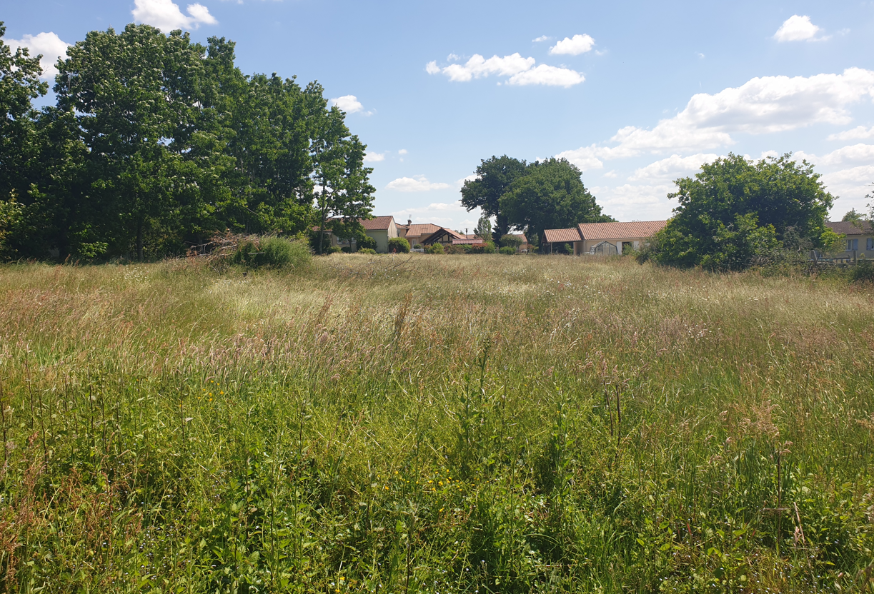 Terrain vendu par IMMOGES à Oradour-sur-Glane, lieu-dit Rentier